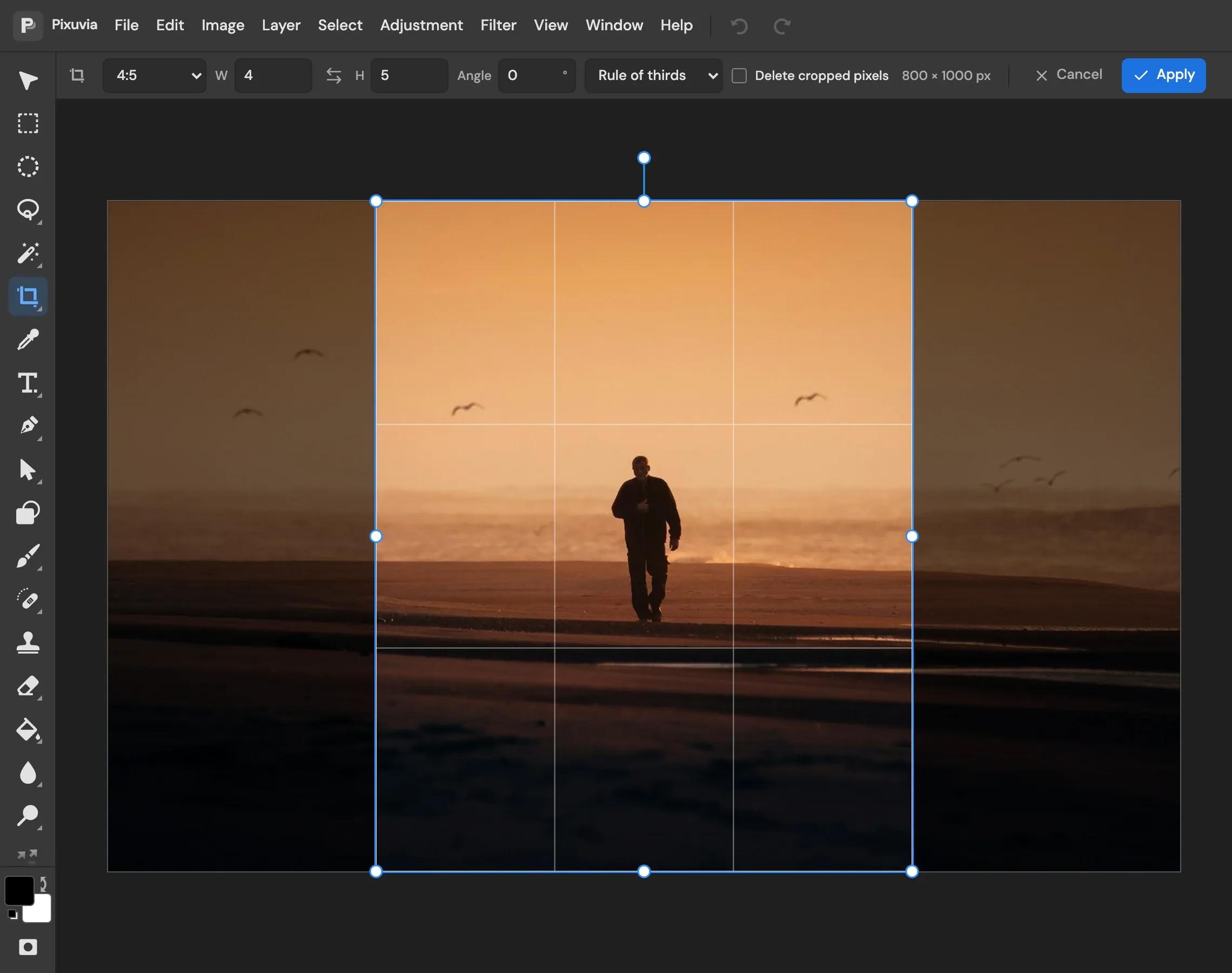 The crop tool set to a 4:5 ratio framing a person on a beach, with a rule of thirds grid