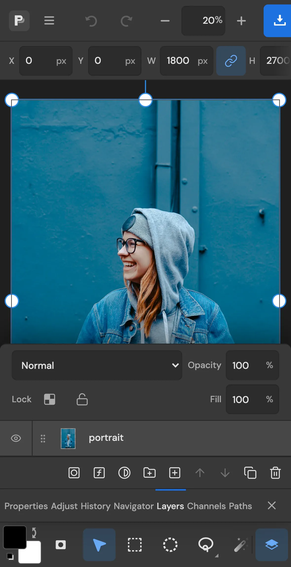 The editor on an iPhone with the Layers panel open as a sheet above the tool dock